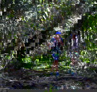 Elephant Trail Race - Restaurant Guide