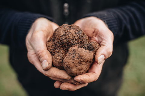 Feast And Forage - Craig's Royal Hotel - Restaurant Guide 0