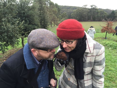 Feast And Forage - Craig's Royal Hotel - Restaurant Guide 1