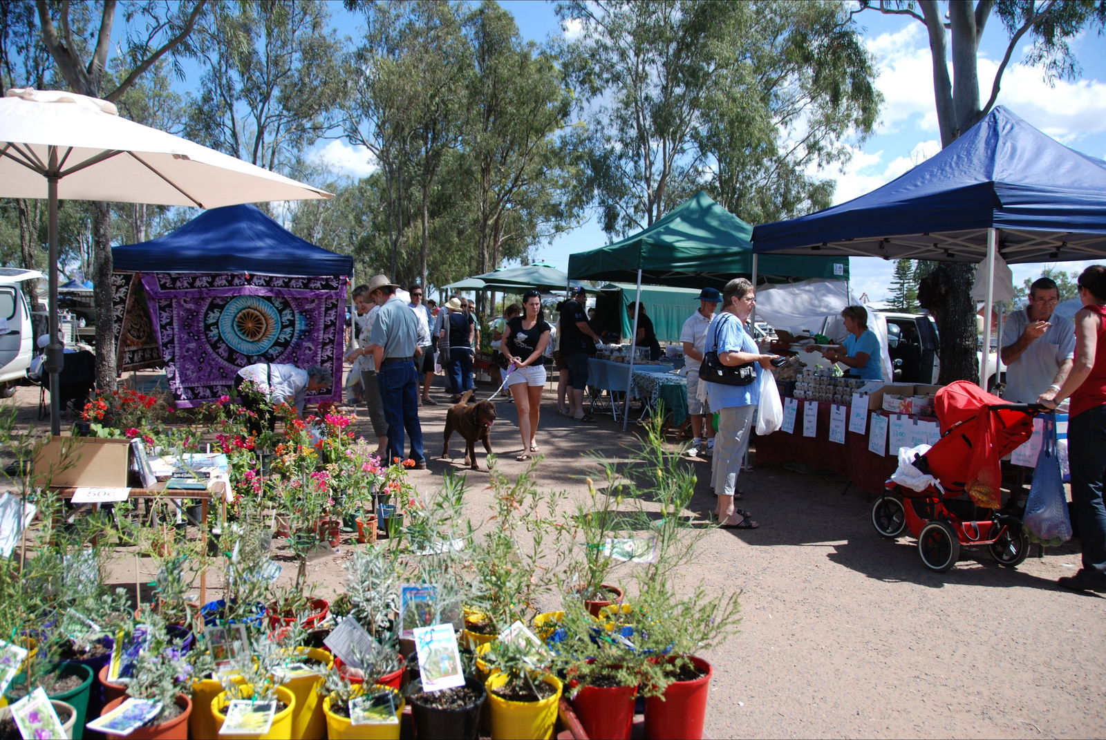Fernvale QLD Restaurant Guide