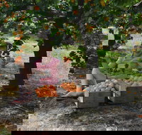 Fruit Bottling Sessions at Rayner's Orchard - Restaurant Guide