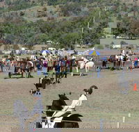 Gresford Agricultural Show - Restaurant Guide