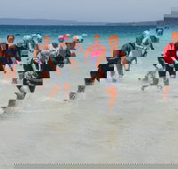 IGA Callala Triathlon Festival - Restaurant Guide