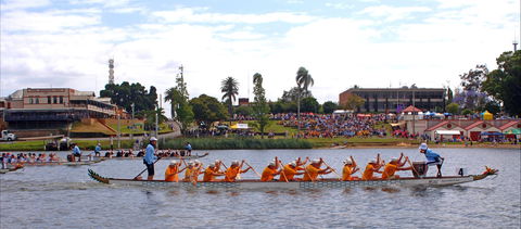 Jacaranda Dragon Boat Races - Restaurant Guide 0