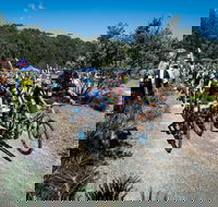 JetBlack Wild Wombat MTB Challenge - Restaurant Guide