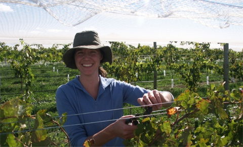 Kingsdale Wines - Cellar Door Wine Tastings - Restaurant Guide 0