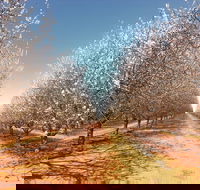 Mallee Almond Blossom Festival - Restaurant Guide