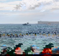 Nowra Toyota triHusky Huskisson Triathlon Festival Little Husky - Restaurant Guide