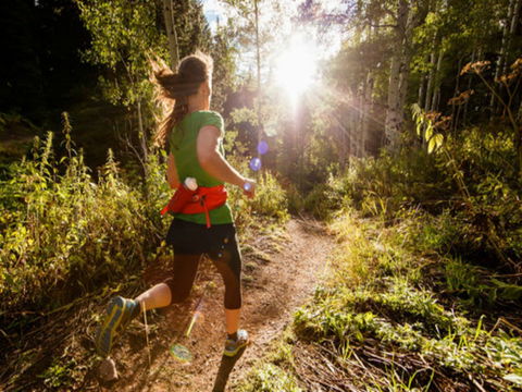 Run Dungog - Restaurant Guide 0