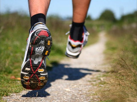 Run Dungog - Restaurant Guide 1