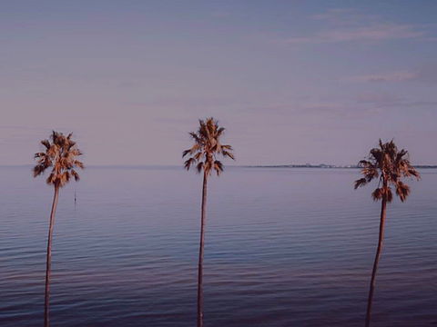 Sunset Streaming Live DJ Streams - Restaurant Guide 0