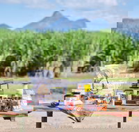 Taste Tweed - Restaurant Guide