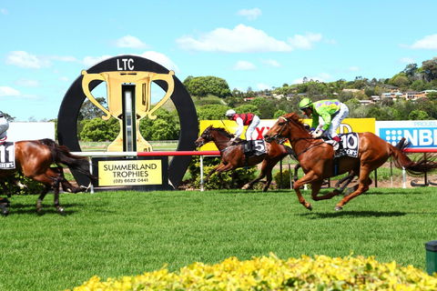 The O’Brien Electrical And Plumbing Lismore Cup - Restaurant Guide 1
