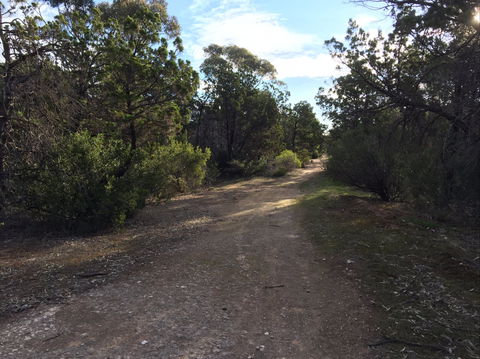 Victoria Park Moonta Monthly Walks - Restaurant Guide 0