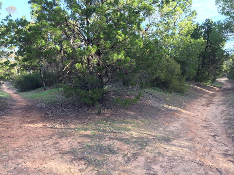 Victoria Park Moonta Monthly Walks - Restaurant Guide 1