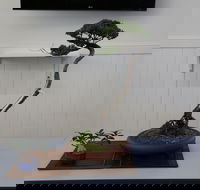 Wauchope Bonsai Workshop Group - Restaurant Guide