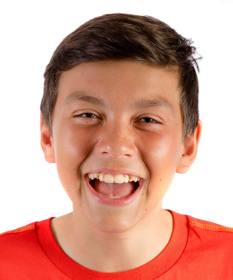 Willmot Festival - Restaurant Guide 0