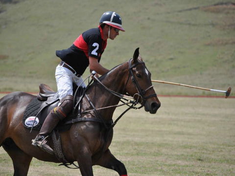 Wirragulla Annual Polo Tournament - Restaurant Guide 0