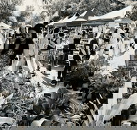 Yamba Farmers and Producers Market - Restaurant Guide