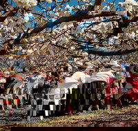 Young Cherry Blossom Long Lazy Lunch - Restaurant Guide