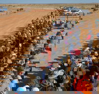 28th Marree Australasian CAMEL CUP 3 July 2021 - Restaurant Guide