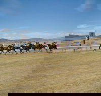 Adaminaby Cup Race Day - Restaurant Guide