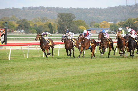Aggies Race Day - Restaurant Guide 0