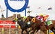 Ballina Boxing Day Races - thumb 0