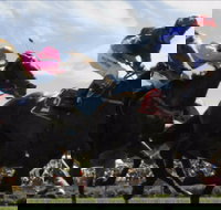 Batemans Bay Cup - Restaurant Guide