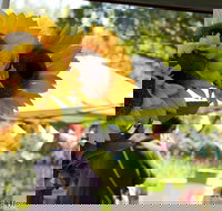 Blackville Arts and Market Day - Restaurant Guide