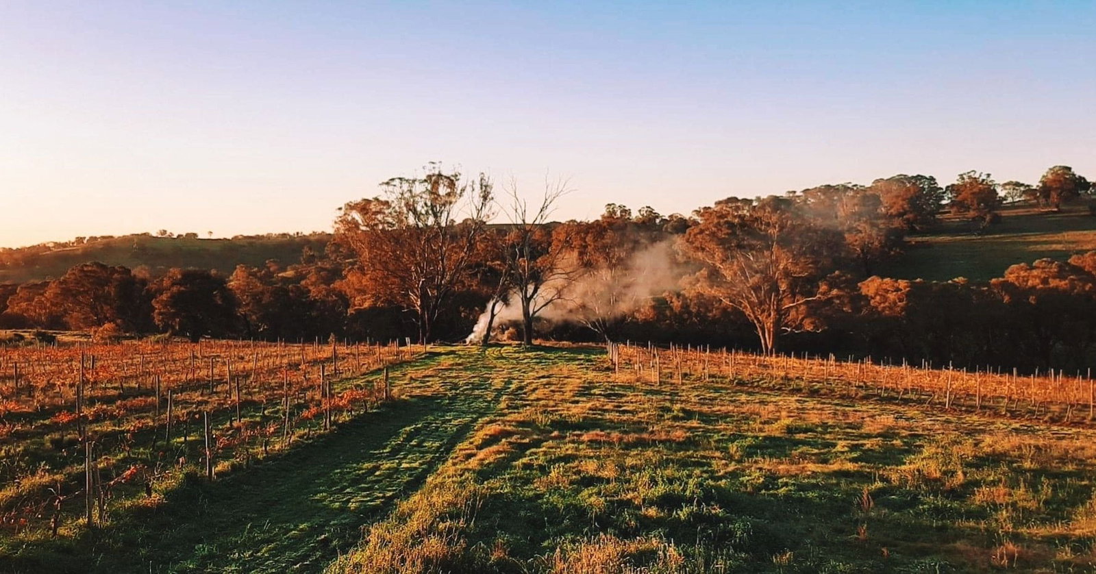 Lidster NSW Restaurant Guide