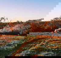 Cargo Road Wines Grande Fiamma - Restaurant Guide