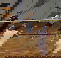 Charlton Badminton Club Ladies Tournament - Restaurant Guide
