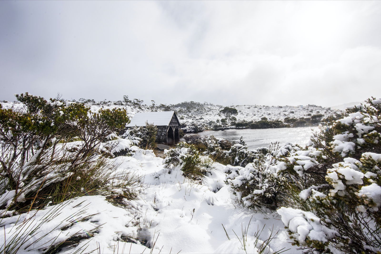 Cradle Mountain TAS Restaurant Guide