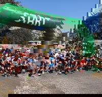 Coffs Harbour Running Festival - Restaurant Guide