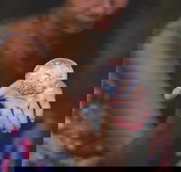 Cootamundra Mind Body and Spirit Festival - Restaurant Guide