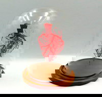 Corrosion Casting - Restaurant Guide