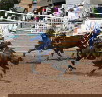 Dalgety Team Penning - Restaurant Guide