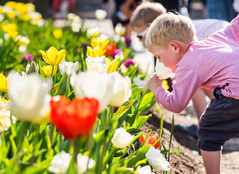 Floriade: Reimagined - Restaurant Guide 1