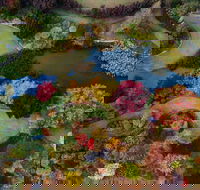 Glenrock Gardens Open Garden - Restaurant Guide