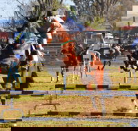 Glen Innes Pastoral and Agricultural Show - Restaurant Guide