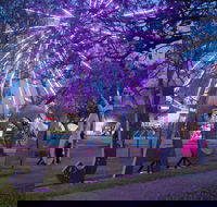 Grafton Jacaranda Festival - Restaurant Guide