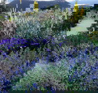 Highfield Gardens - Restaurant Guide