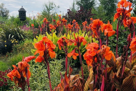 Highfield Gardens - Restaurant Guide 1