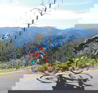 High Country Women's Cycling Festival - Restaurant Guide