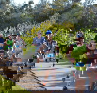 Husky Half Running Festival - Restaurant Guide