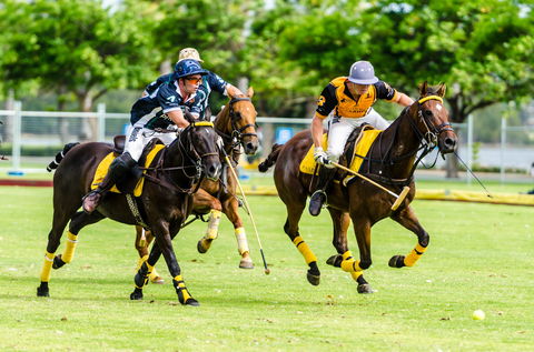 Land Rover Polo  In The City - Restaurant Guide 1