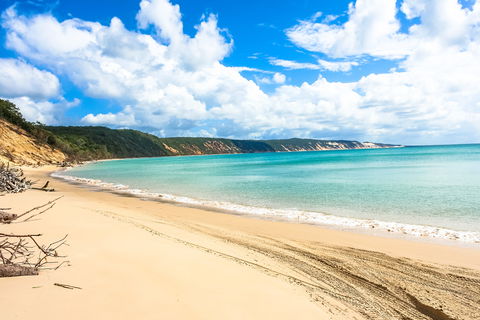 Longreach Leg - Beach To Reach 2020 - Restaurant Guide 2