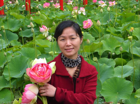 Lotus Flower Season - Restaurant Guide 1