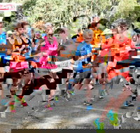 MAAS Group Dubbo Stampede Running Festival - Restaurant Guide